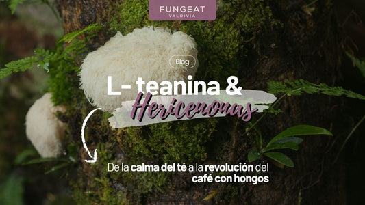 L-teanina y hericenonas