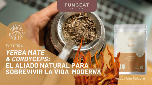 cordyceps