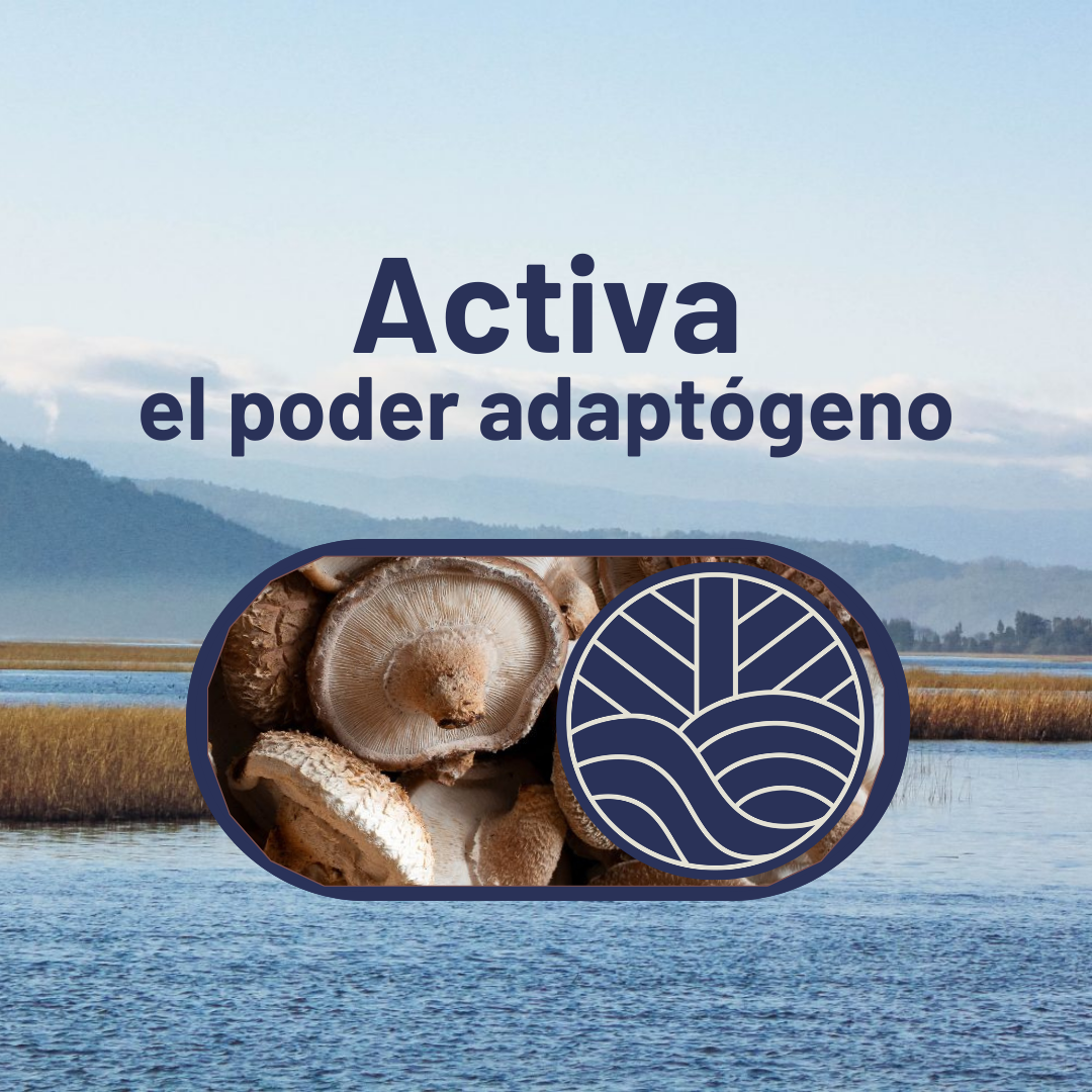 Pack Full Rendimiento con Hongo Shiitake + Ebooks + Envío gratis