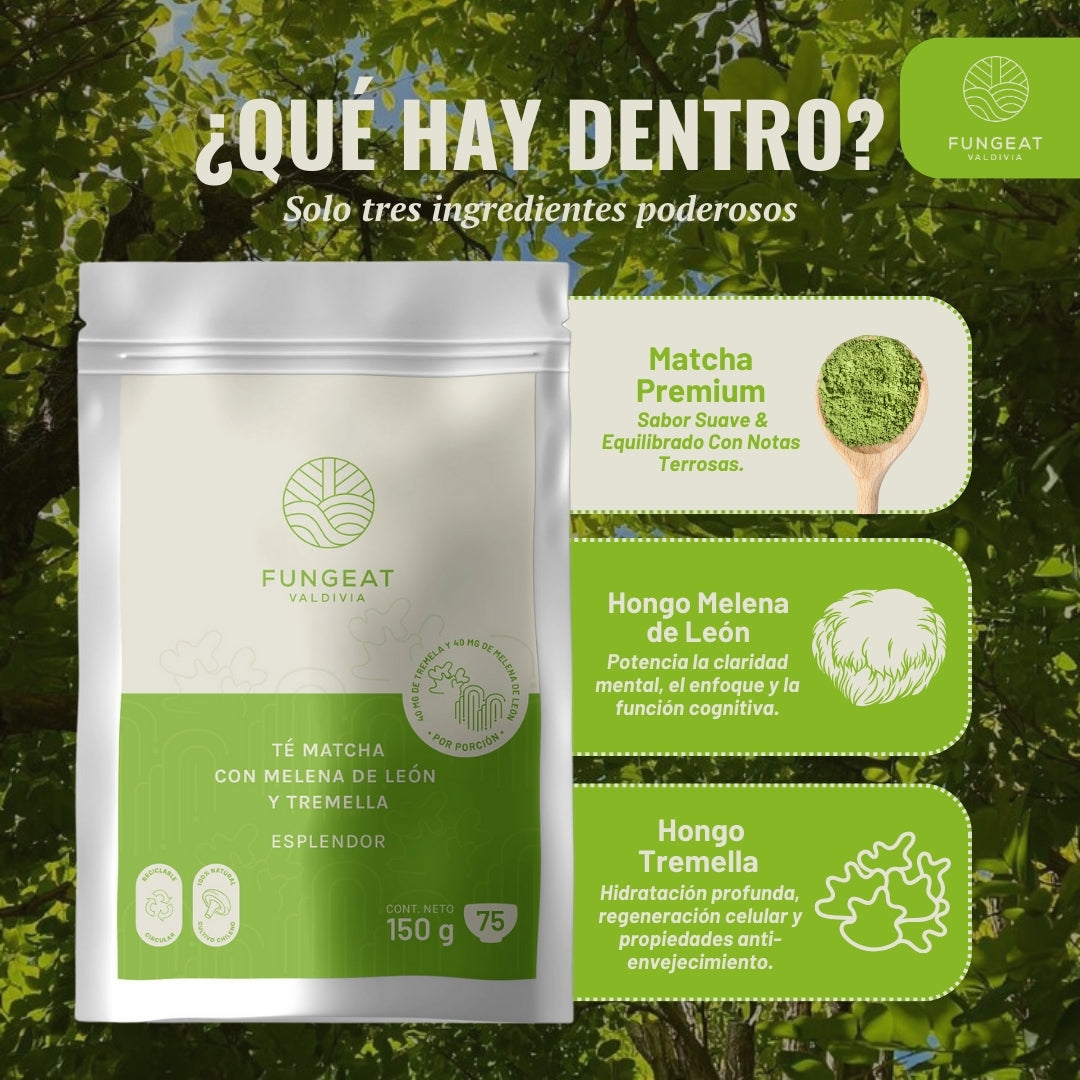 Matcha Splendor with Lion's Mane and Tremella