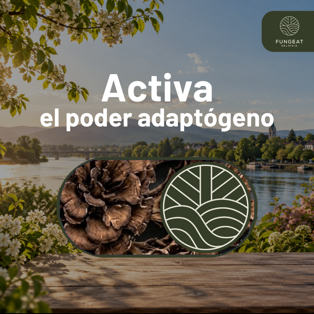 Pack Full Rendimiento con Hongo Maitake (250g + 250g + 2 Ebooks)