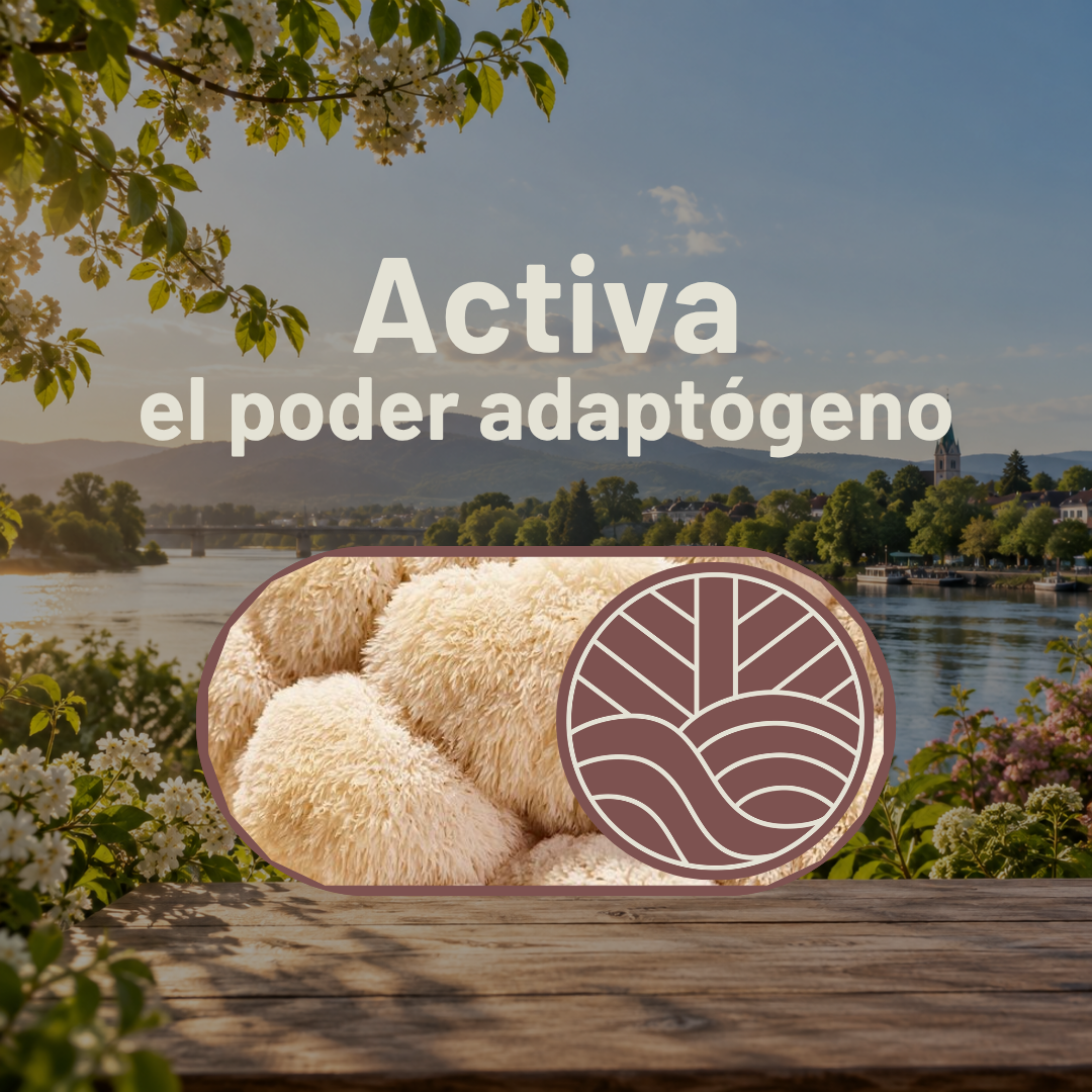 Pack Full Rendimiento con Hongo Melena de León (250g + 250g + EBooks)