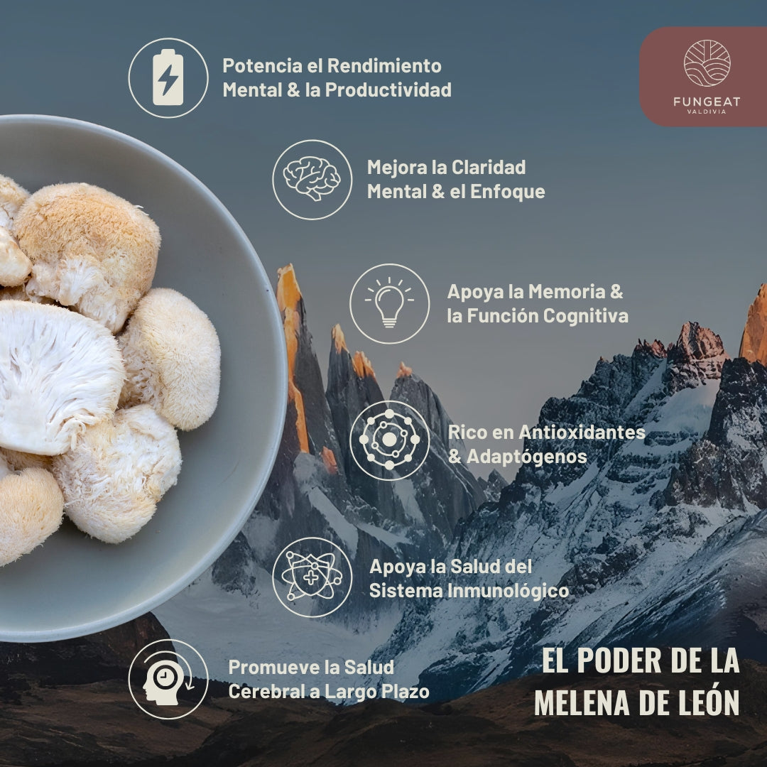Clarity Coffee with Lion's Mane Mushroom