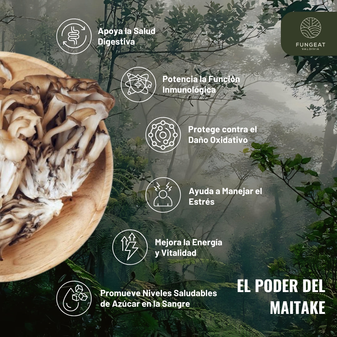 Café Armonía con hongo Maitake 250g