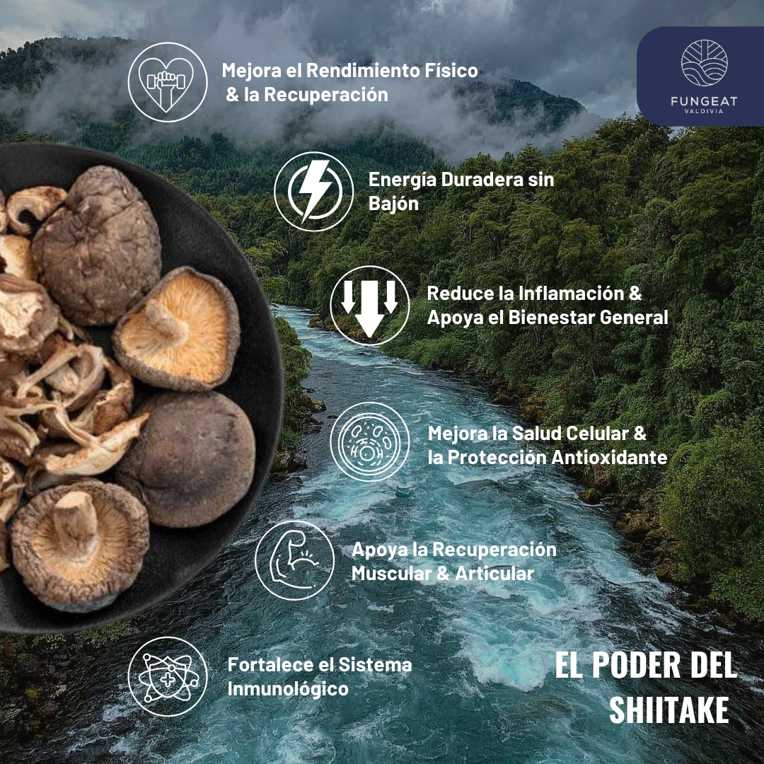 Café Performance con hongo Shiitake 250g