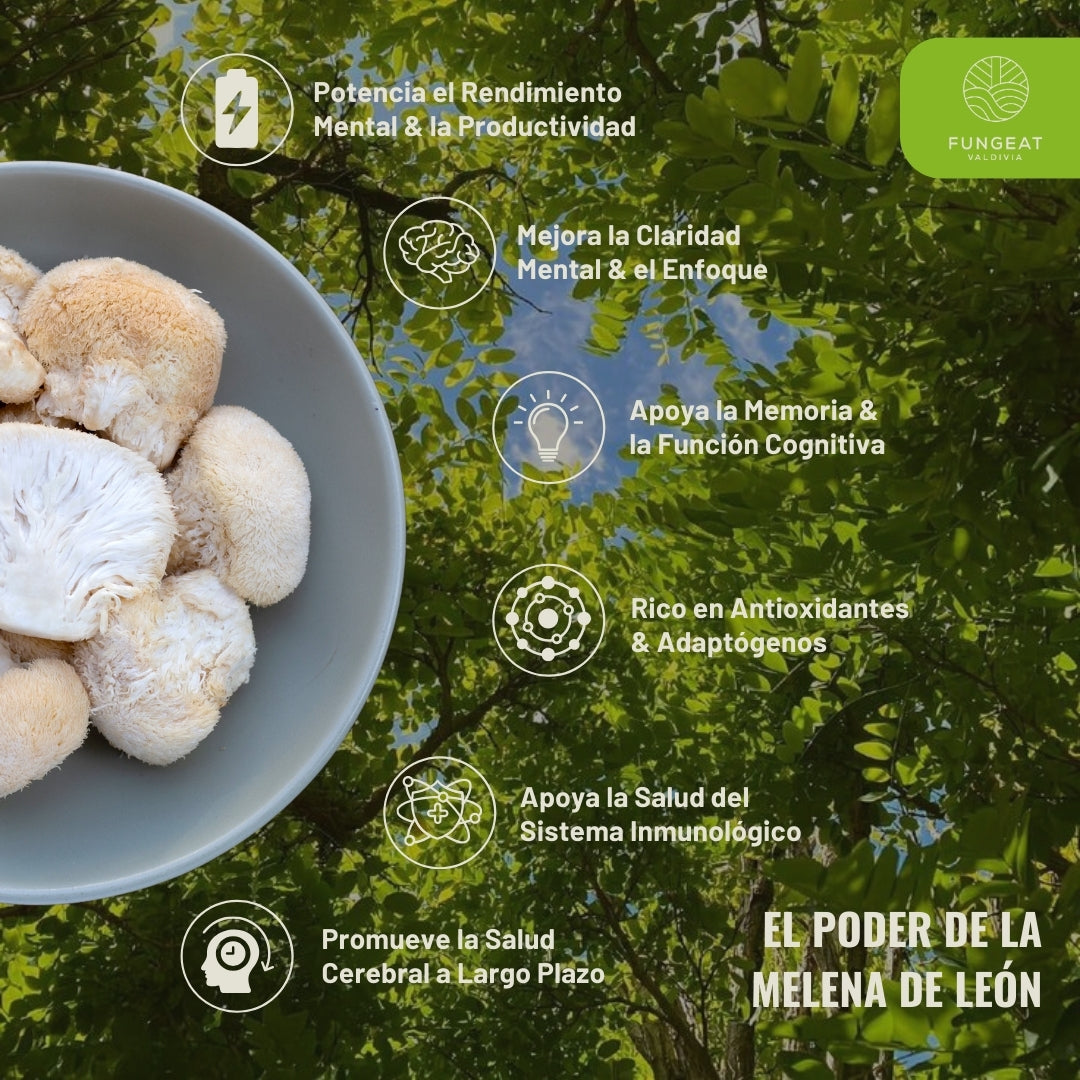 Matcha Splendor with Lion's Mane and Tremella