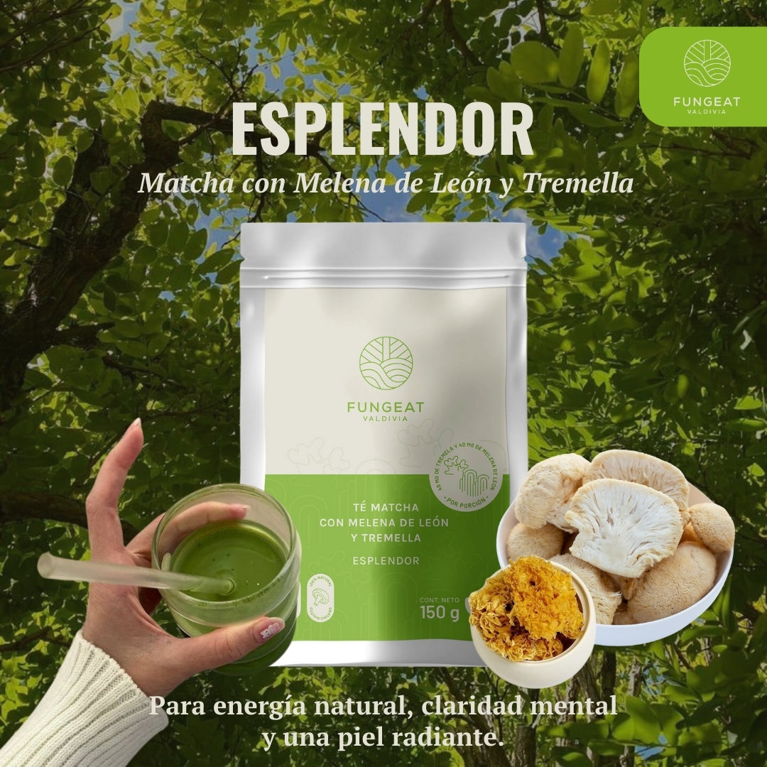 Matcha Splendor with Lion's Mane and Tremella