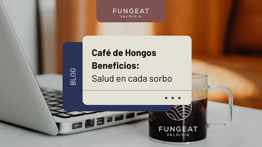 Café de hongos beneficios