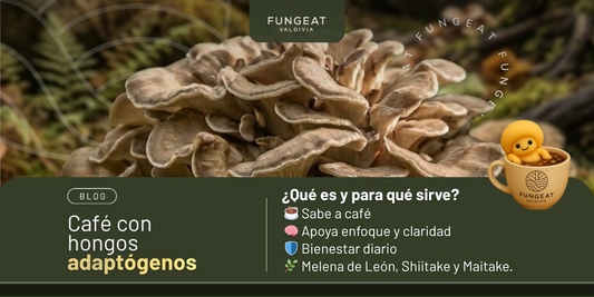 Café con hongos adaptógenos: qué es, para qué sirve y cómo integrarlo a tu día