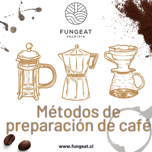 metodos de preparpacion de cafe en grano