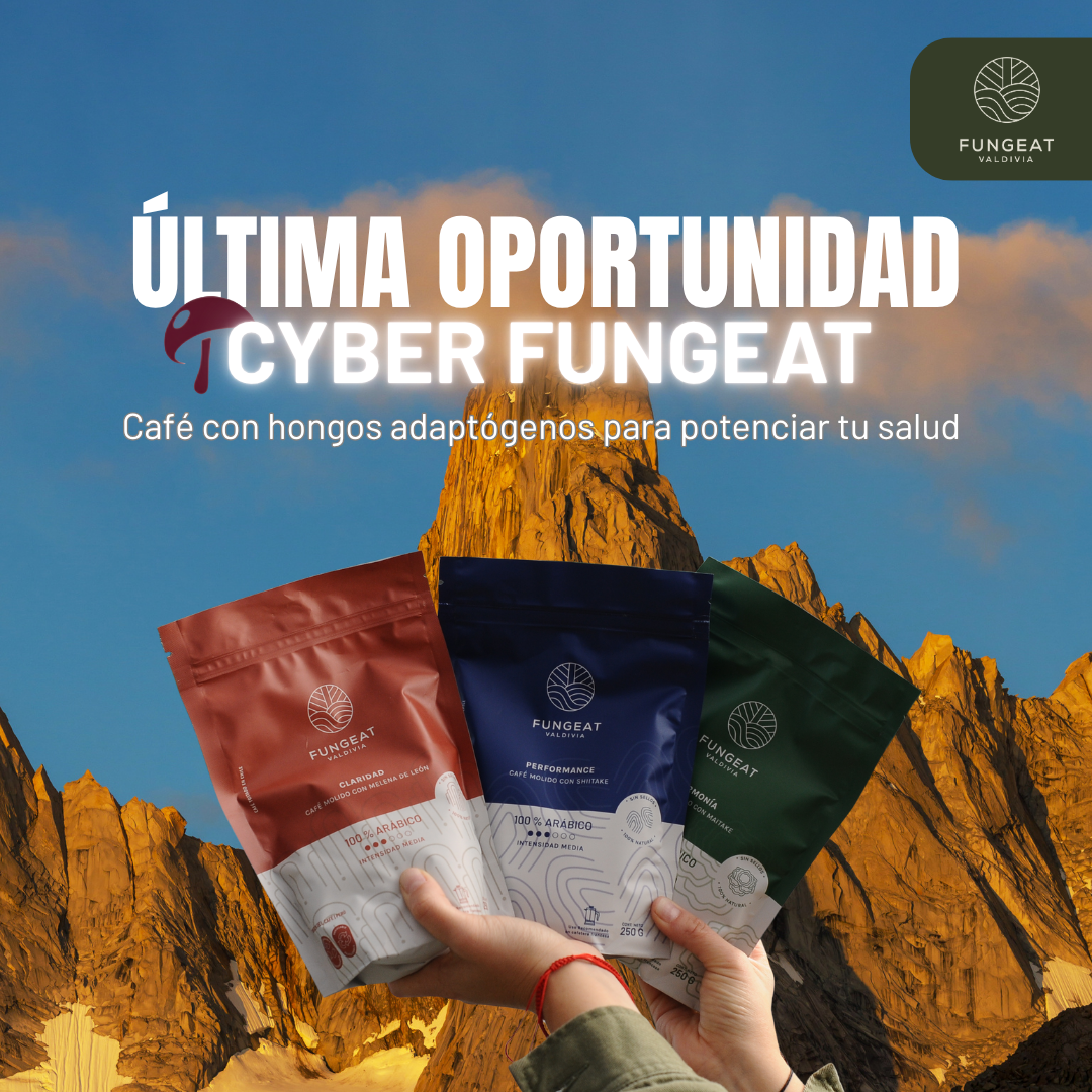 Cyber Fungeat 💥