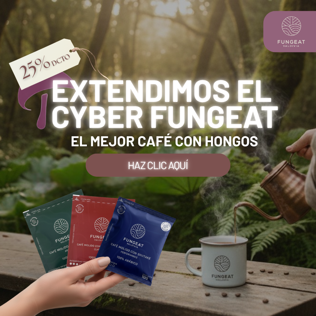 Cyber Fungeat 💥
