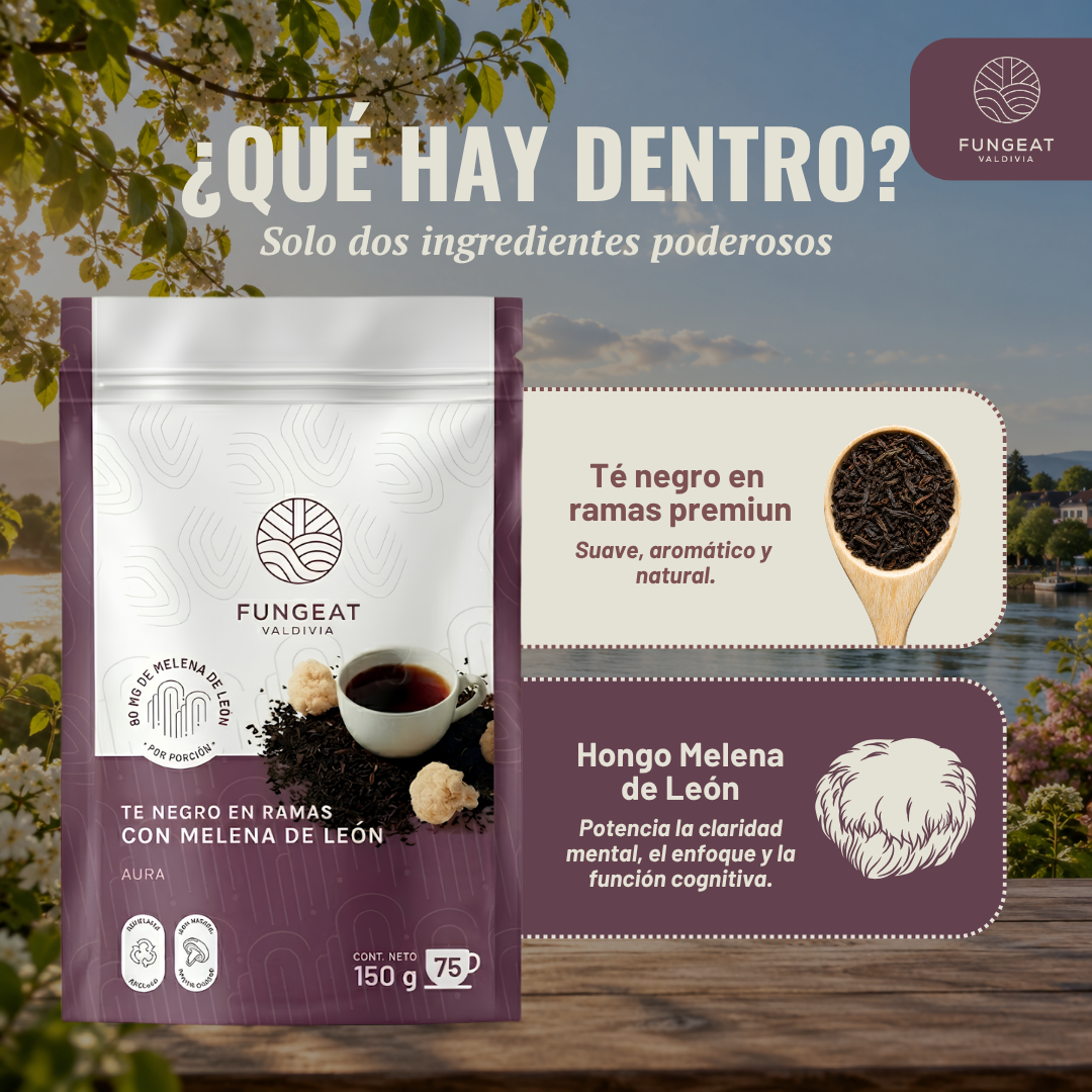 Aura Tea with Lion's Mane