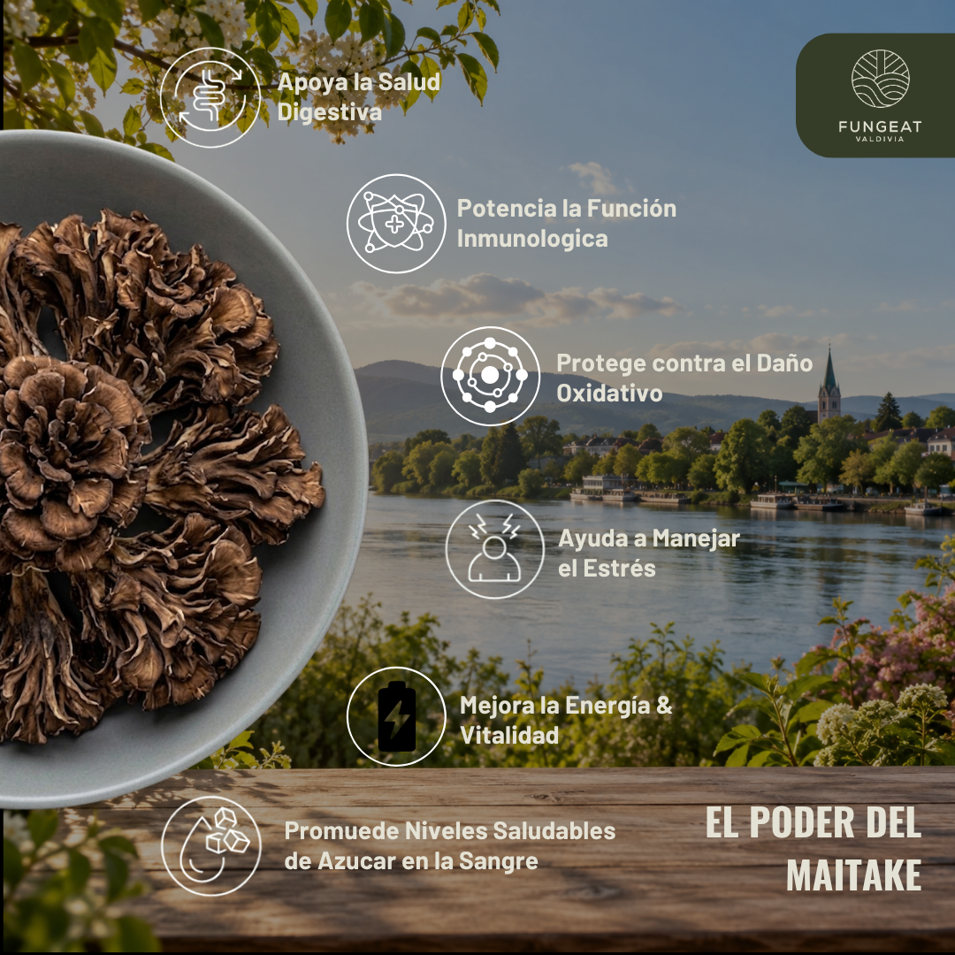Pack Full Rendimiento con Hongo Maitake (250g + 250g + 2 Ebooks)