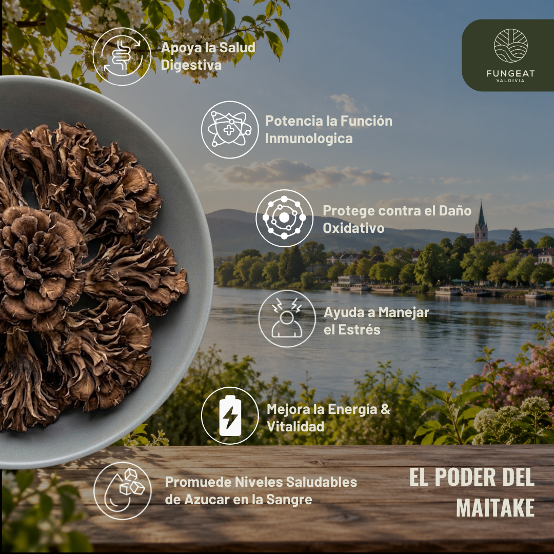 Pack Doble Potencia Armonía (150gr + Ebooks)