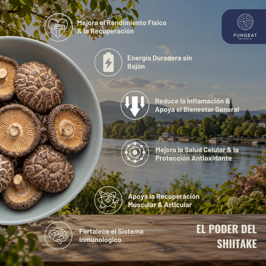 Drip Performance Con Shiitake 10g