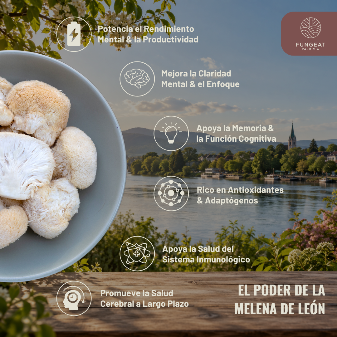 Pack Full Rendimiento con Hongo Melena de León (250g + 250g + EBooks)