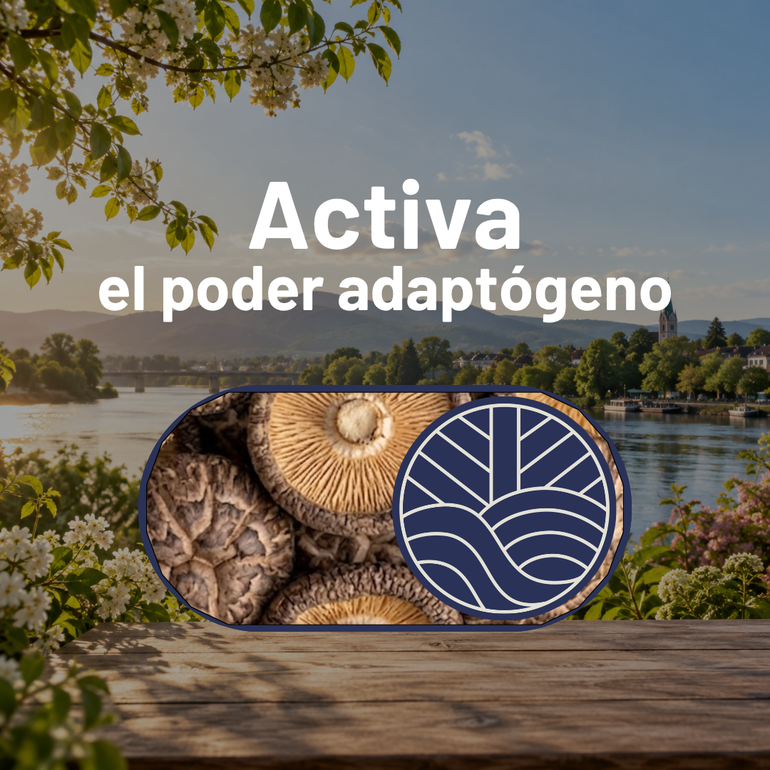 Drip Performance Con Shiitake 10g