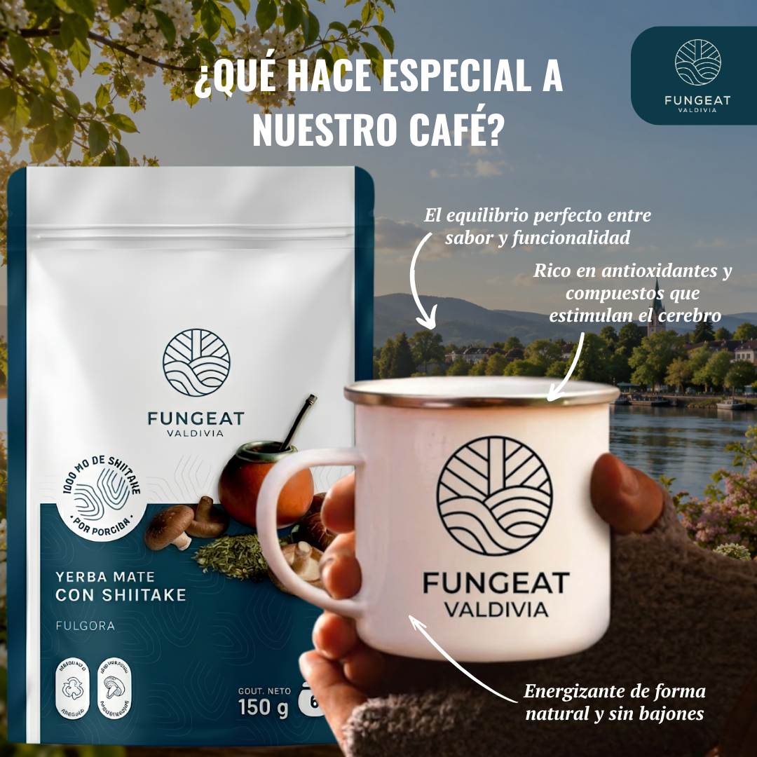 Yerba Mate Fulgora con Shiitake 150 gr