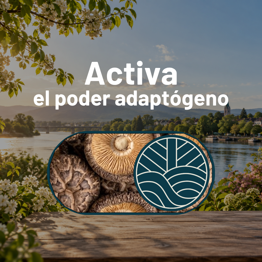 Yerba Mate Fulgora con Shiitake 150 gr