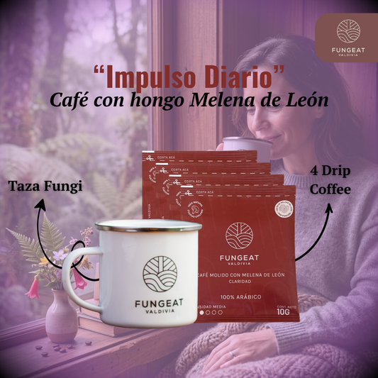Pack Primer Enfoque Claridad
