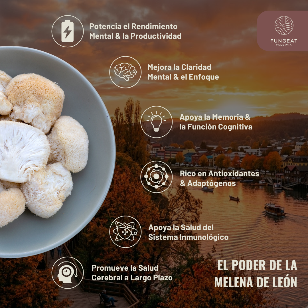 Pack Dúo Vital Claridad 250 g + 2 Tazas