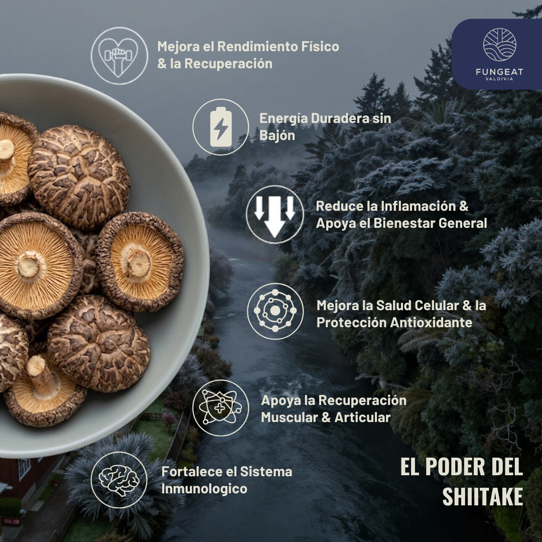 Performance Coffee with Shiitake Mushroom 