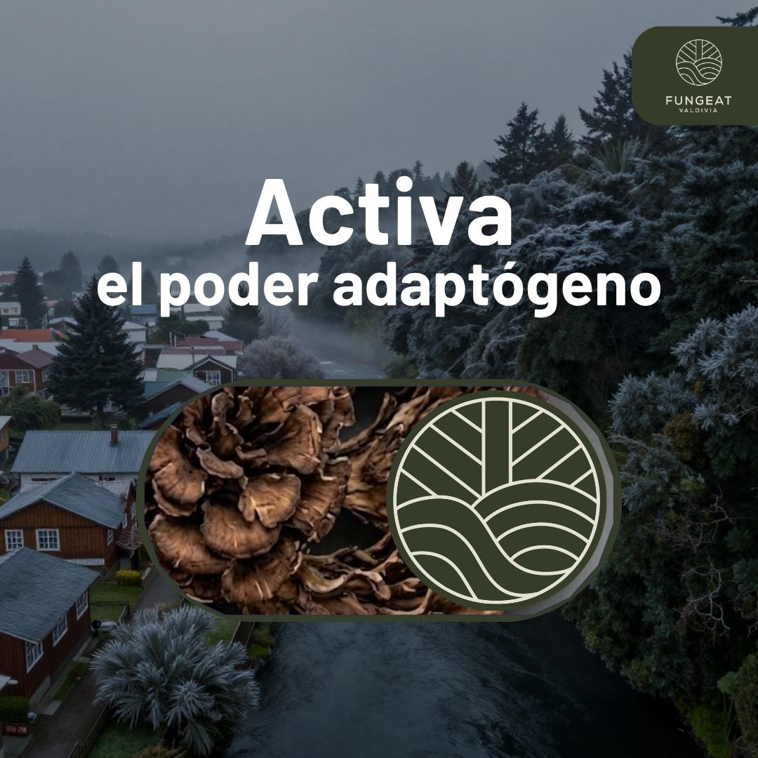 Pack Impulso Diario Armonía