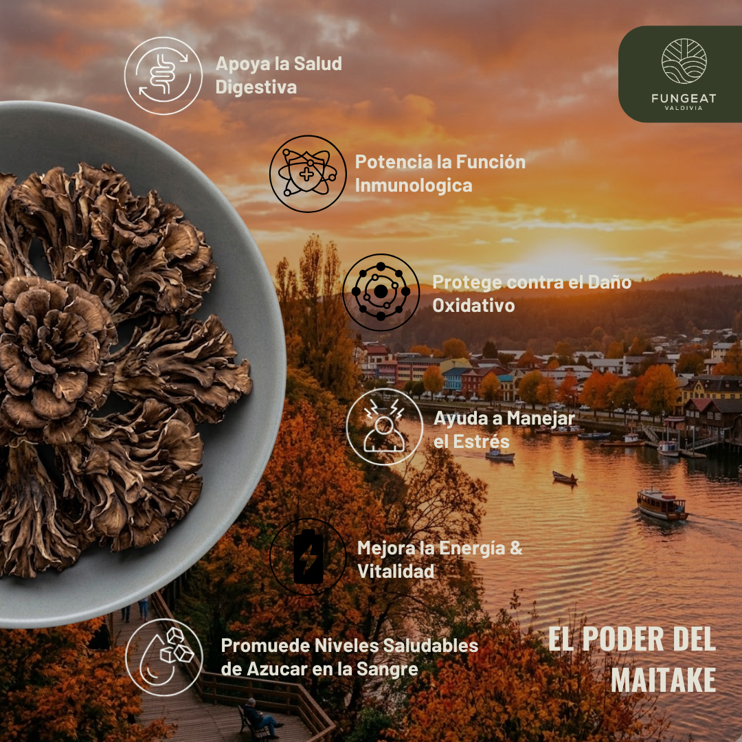 Clarity Coffee with Lion's Mane Mushroom