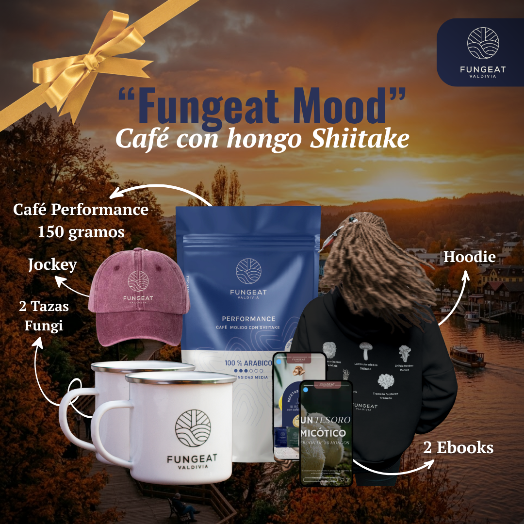 Pack Foco Maestro (150 g) + Merch + 2 Ebooks