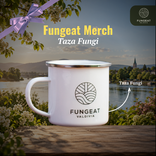 Fungi Taza