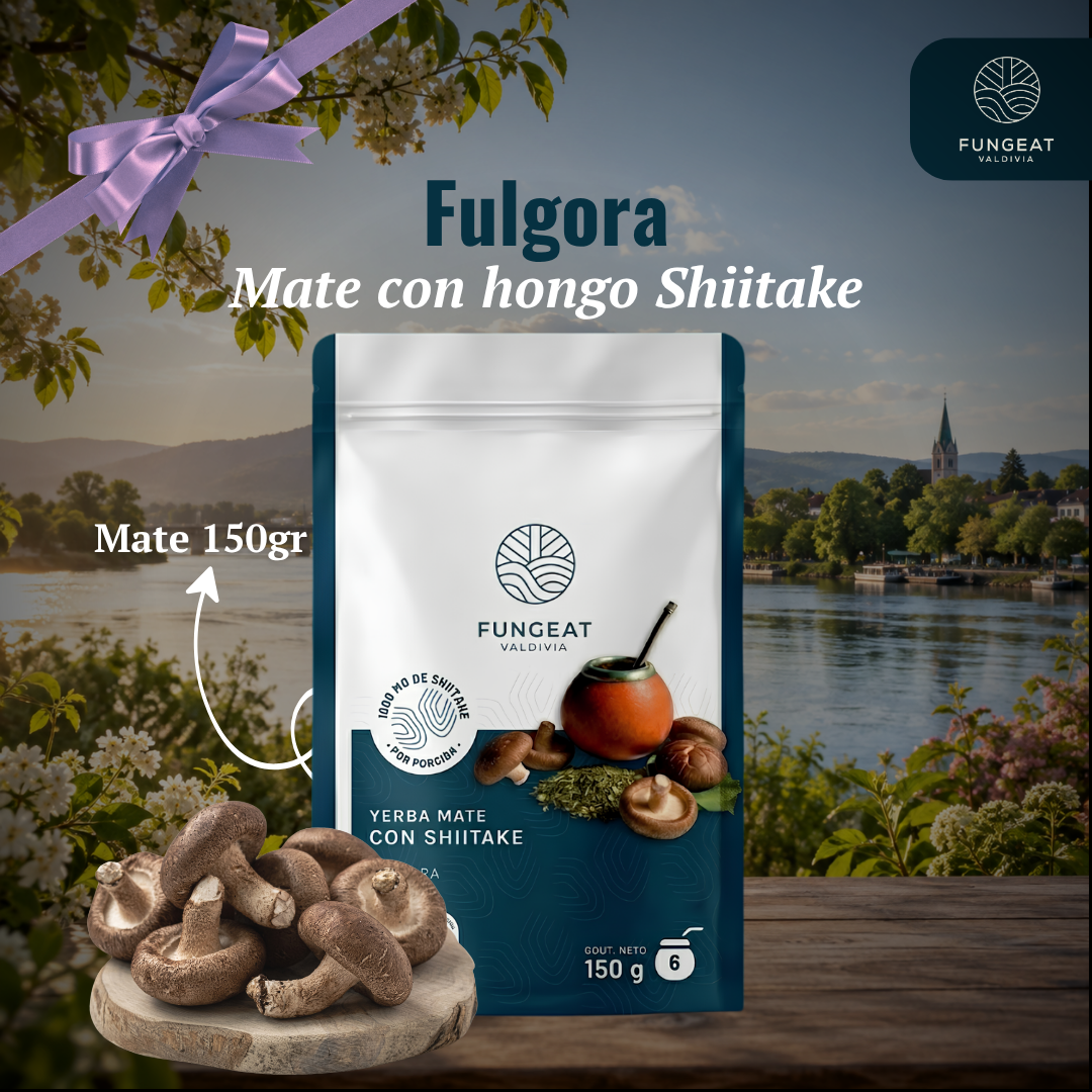 Yerba Mate Fulgora con Shiitake 150 gr
