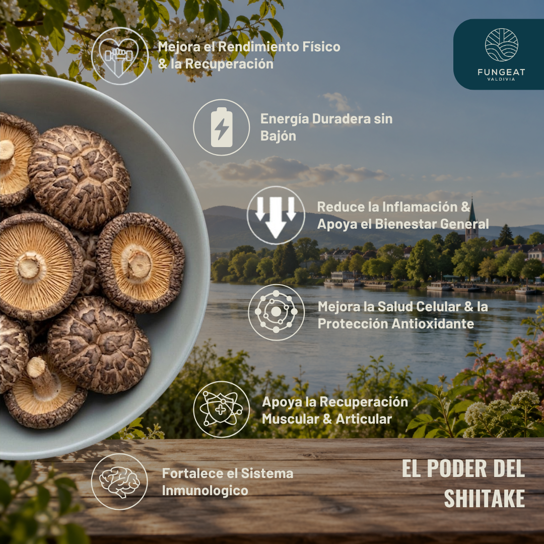 Yerba Mate Fulgora con Shiitake 150 gr