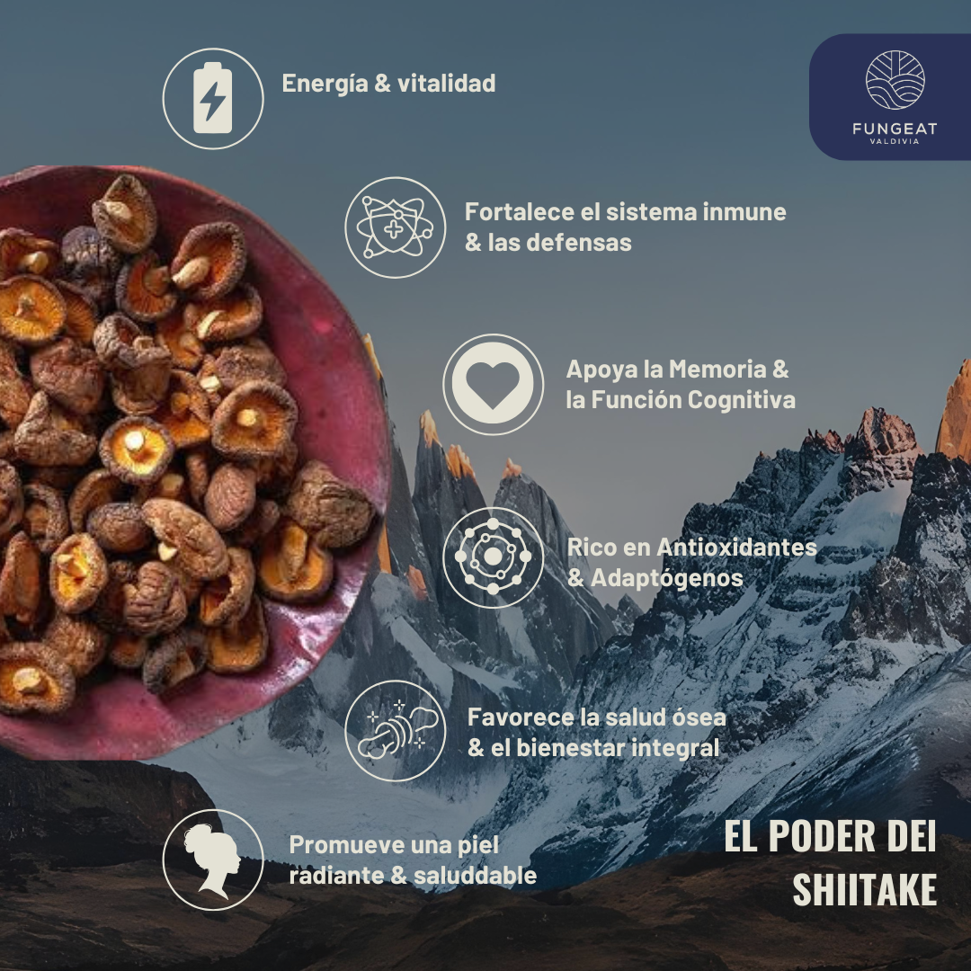 Pack Full Rendimiento con Hongo Shiitake + Ebooks + Envío gratis