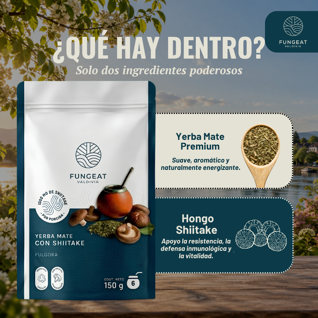 Yerba Mate Fulgora con Shiitake 150 gr
