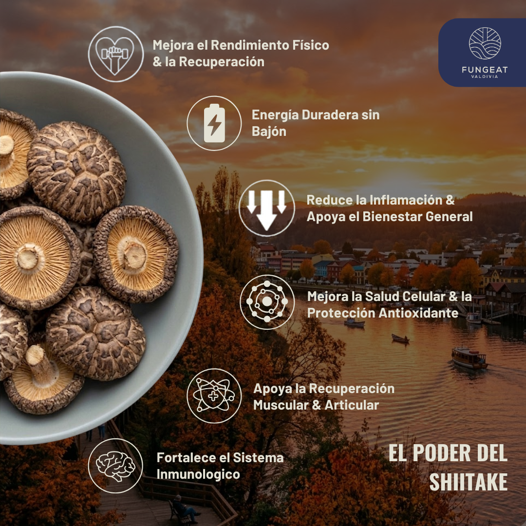 Pack Full Rendimiento con Hongo Shiitake + Ebooks + Envío gratis
