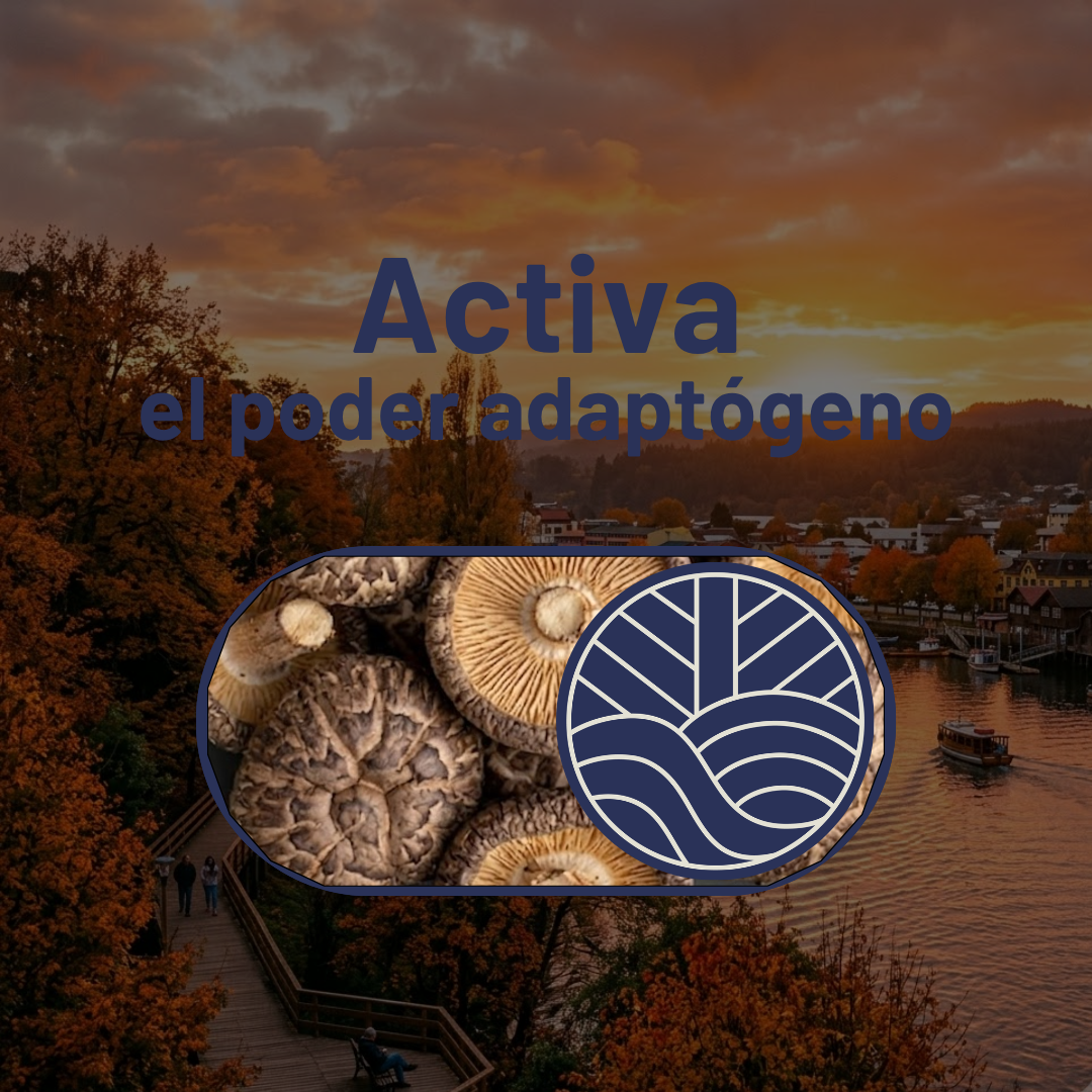 Pack Full Rendimiento con Hongo Shiitake + Ebooks + Envío gratis