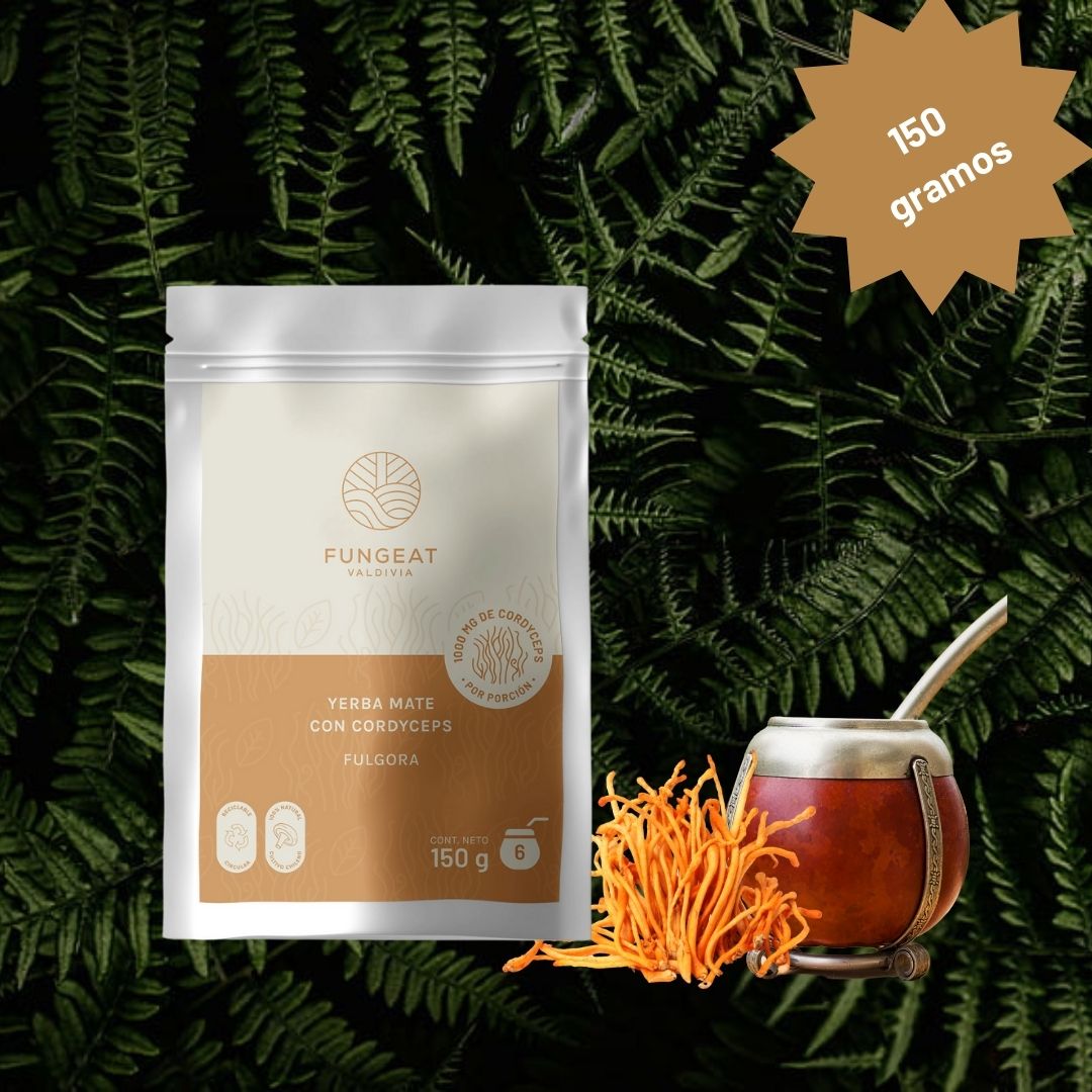 Fulgora Yerba Mate con Cordyceps