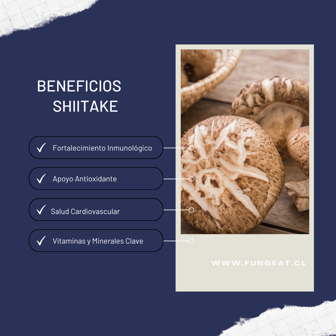 Beneficios shiitake
