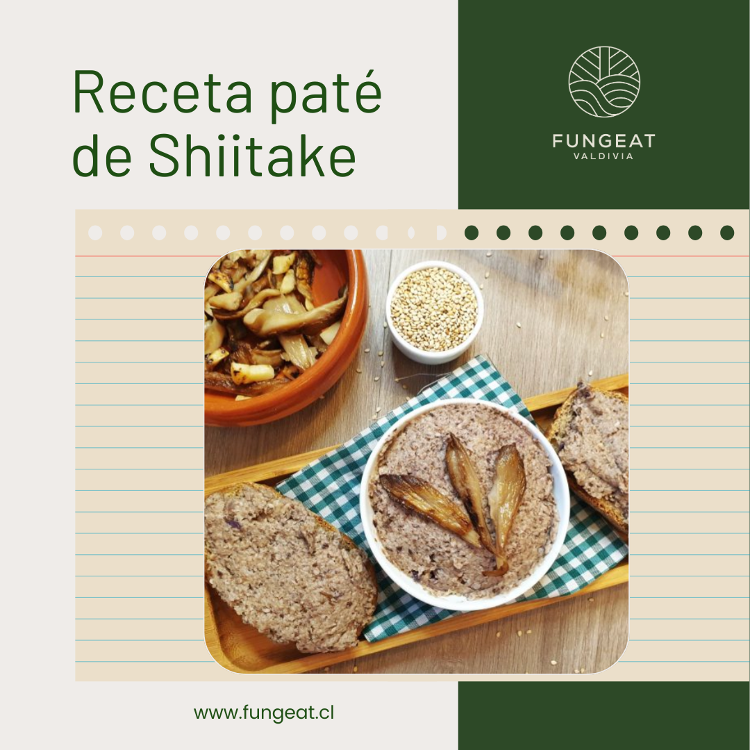 receta de pate de shiitake