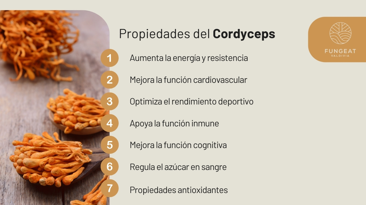 Cordyceps